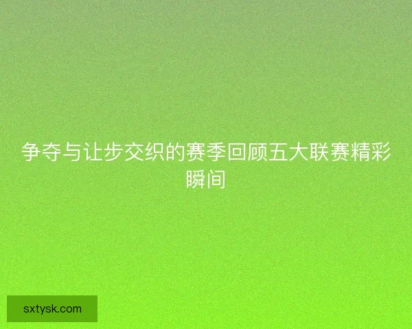 争夺与让步交织的赛季回顾五大联赛精彩瞬间